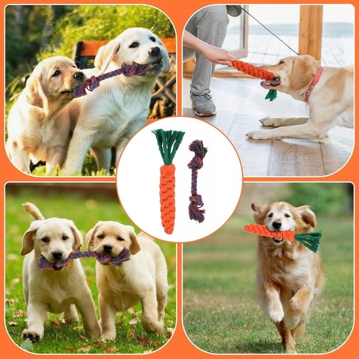 Zestaw-5-zabawek-dla-psow-marchewka-i-zabawka-z-liny-pleciona-R9-Marka-bez-marki.jpeg