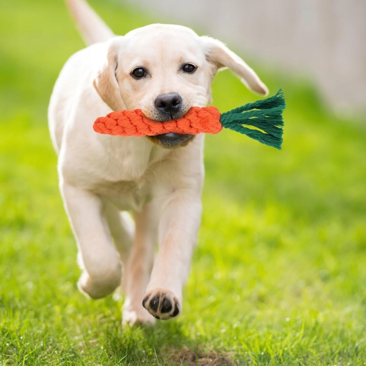 Zestaw-5-zabawek-dla-psow-marchewka-i-zabawka-z-liny-pleciona-R9-Rodzaj-szarpak.jpeg